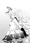  akino_sora animal_ears back backless_dress backless_outfit bangs breasts commentary cowboy_shot curly_hair dress erune ferry_(granblue_fantasy) frilled_dress frills from_behind gloves gradient gradient_background granblue_fantasy grey_background greyscale highres legs_apart long_hair looking_at_viewer looking_back medium_breasts monochrome no_bra parted_lips pleated_dress pleated_skirt profile sideboob sketch skirt small_breasts smile solo thighhighs very_long_hair wavy_hair 