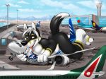  aircraft airplane black_fur canine dipstick_tail fur hair macro male mammal multicolored_tail public ring solo sylen toe_ring white_hair wolf 