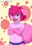  anthro canine cat clothing cottonara_kouhou_(cynxie) cub cynxie_(artist) feline fox fur hybrid male mammal open_mout pink_fur purple_eyes simple_background solo speedo swimsuit teenager young 