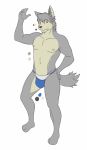  barefoot blue_swimwear bulge canine clothed clothing dog husky kouya_(morenatsu) male mammal morenatsu navel nipples shame_fame simple_background solo speedo swimsuit topless white_swimwear 