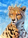  2018 ambiguous_gender black_lips black_nose brown_eyes cheetah digital_media_(artwork) feline feral hibbary looking_at_viewer mammal sky solo whiskers 
