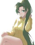  1girl fire_emblem fire_emblem:_rekka_no_ken green_eyes green_hair high_ponytail long_hair looking_at_viewer lyndis_(fire_emblem) naked_sweater nintendo ponytail simple_background skeptycally solo sweater white_background 