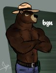  2017 anthro bear bgn brown_fur crossed_arms fur hat male mammal muscular muscular_male smokey_bear solo 