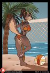  anthro azaleesh beach beach_volleyball butt canine female mammal net palm_tree rika_(character) seaside smile solo sport tree volleyball 