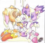  blaze_the_cat cream_the_rabbit purity sonic_team tagme 