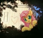  &lt;3 2017 equine female feral fluttershy_(mlp) friendship_is_magic hair horse looking_at_viewer mammal mirroredsea my_little_pony outside pink_hair plant pony shrub smile solo 
