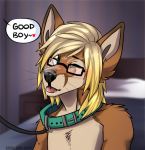  canine collar cum cum_on_face eyewear fennec fox glasses leash mammal shiki-kun-baka_(artist) submissive taz_(evilbread) tongue tongue_out 