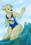  beach black_nose brown_eyes brown_fur bulge canine clothing dog firebreath fluffy fur girly male mammal sea seaside smile solo soryane spandex sport swimsuit thick_thighs tight_clothing volleyball water wet 