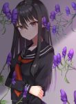  1girl bangs black_hair black_sailor_collar black_serafuku black_skirt blouse blurry breasts brown_hair commentary_request depth_of_field eyebrows_visible_through_hair flower hair_between_eyes itoi_toi long_hair long_sleeves neckerchief original plant pleated_skirt purple_flower red_neckwear sailor_collar school_uniform serafuku shade sidelocks skirt solo upper_body 