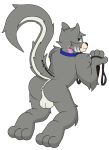  &lt;3 2018 anthro butt cat collar digital_media_(artwork) feline fur hair leash male mammal notkastar presenting presenting_hindquarters smile solo tagme 