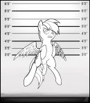  2013 angry animal_genitalia animal_penis balls black_and_white crossgender cutie_mark equine equine_penis feathered_wings feathers feral flying friendship_is_magic hair half-erect height_chart hi_res male mammal monochrome my_little_pony pegasus penis pentabins rainbow_dash_(mlp) solo wings 