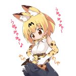 animal_ears bangs belt blonde_hair blush bow bowtie brown_belt brown_eyes closed_mouth commentary_request elbow_gloves eyebrows_visible_through_hair gloves hair_between_eyes high-waist_skirt highres holding_own_tail kemono_friends looking_away makuran out_of_frame pov pov_hands print_gloves print_neckwear print_skirt serval_(kemono_friends) serval_ears serval_print serval_tail shirt short_hair simple_background skirt sleeveless sleeveless_shirt solo_focus striped_tail tail translation_request white_background white_shirt 