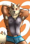  anthro anthrofied arcanine athletic biceps black_nose bulge canine clothed clothing hi_res looking_at_viewer male mammal muscular muscular_male nintendo pok&eacute;mon pok&eacute;mon_(species) pubes solo topless video_games vinarck_dreamborn 