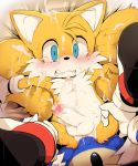  anal anal_penetration canine cum cum_on_face cum_while_penetrated cumshot dagasi ejaculation erection fox hands-free hedgehog male male/male mammal miles_prower orgasm penetration penis sonic_(series) sonic_the_hedgehog uncensored 