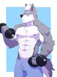  2018 abs anthro biceps black_nose canine chest_tuft clothing fur hi_res male mammal muscular muscular_male nipples o-ro pecs simple_background tuft wolf 