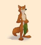  2018 anthro balls barely_visible_genitalia canine chest_tuft clothing covering digital_media_(artwork) fox male mammal nude paintfox red_fox robin_hood shirt simple_background smile tuft wet 