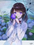  bangs blurry blurry_background blush bra_through_clothes brown_hair closed_mouth collared_shirt depth_of_field eyebrows_visible_through_hair flower gloves hands_up holding holding_flower holding_umbrella hydrangea long_hair long_sleeves looking_at_viewer md5_mismatch original purple_eyes purple_gloves rain sanbasou school_uniform see-through shirt signature smile solo transparent transparent_umbrella umbrella wet wet_clothes wet_shirt white_shirt 