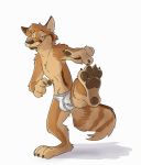  2018 briefs bulge canine chest_tuft clothed clothing digital_media_(artwork) foot_fetish looking_at_viewer male mammal on_one_leg paintfox partially_closed_eyes pawpads paws pointing standing standing_on_one_leg topless tuft underwear 