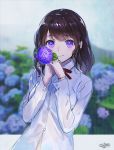  bangs blurry blurry_background blush bra_through_clothes brown_hair closed_mouth collared_shirt depth_of_field eyebrows_visible_through_hair flower gloves hands_up holding holding_flower hydrangea long_hair long_sleeves looking_at_viewer md5_mismatch original purple_eyes purple_gloves rain sanbasou school_uniform see-through shirt signature smile solo wet wet_clothes wet_shirt white_shirt 