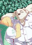  2018 6xiachunqiu7 bear canine clover cusith dog duo eyewear glasses kemono male mammal obese outside overweight polar_bear rave_(housamo) scarf supine tokyo_afterschool_summoners 