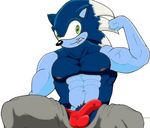  sonic_team sonic_the_werehog sonic_unleashed tagme 
