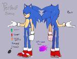  blue_eyes clothing cybernetics cyborg doppleganger gloves hair hedgehog long_hair looking_at_viewer machine male mammal nude robot sneakers solo sonic_(series) sonic_the_hedgehog vilegrim yellow_eyes 