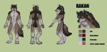  2018 anthro blue_eyes canine digital_media_(artwork) jagal male mammal model_sheet rakan scar simple_background solo were werewolf 