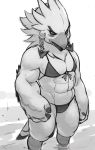  2018 abs anthro avian beak biceps bikini bird blush breath_of_the_wild clothed clothing crossdressing feathers korosuke korosuke556 looking_down male muscular muscular_male nintendo pecs rito solo swimsuit teba_(zelda) the_legend_of_zelda video_games water 