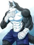  2015 abs anthro biceps big_muscles canine carrymeow clothed clothing digital_media_(artwork) dog fur hi_res male mammal muscular muscular_male pecs shorts simple_background solo standing topless 