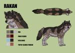  2018 blue_eyes canine digital_media_(artwork) feral jagal male mammal model_sheet rakan scar simple_background solo were werewolf 