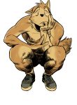  canine crouching looking_at_viewer male mammal nude simple_background sneakers solo wasp_(artist) 