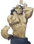  anthro canine eyewear fur glasses looking_at_viewer male mammal muscular muscular_male simple_background smoking solo towel wasp_(artist) wet wet_fur 