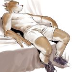  anthro canine clothed clothing male mammal muscular muscular_male navel nipples pecs simple_background sitting sneakers sofa solo topless wasp_(artist) 