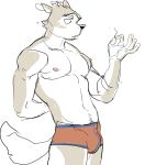  bulge canine clothing male mammal nipples simple_background solo underwear wasp_(artist) 