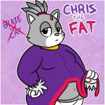  anthro blaze_the_cat cat character_name chris_(nishi) cosplay crossout english_text feline mammal navel nishi overweight solo sonic_(series) text 