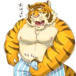  anthro boxers_(clothing) clothing dialogue erection feline japanese_text male mammal manual_masturbation masturbation open_mouth overweight raichoclub solo sound_effects striped_underwear teeth text tiger translation_request underwear 