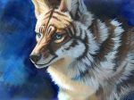  2018 blue_eyes brown_fur canine coyote digital_media_(artwork) feral fur hibbary mammal simple_background solo white_fur 