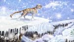  2009 ambiguous_gender day detailed_background digital_media_(artwork) feline feral mammal neboveria outside sky snow solo standing tiger 