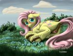  2018 anatomically_correct anatomically_correct_pussy animal_genitalia animal_pussy anus blush butt clitoris cloud cutie_mark dock equine equine_pussy eyelashes feathered_wings feathers female feral fluttershy_(mlp) friendship_is_magic grass hair hi_res hooves looking_at_viewer mammal my_little_pony noctomaeus outside pegasus pussy solo underhoof wings 