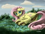  2018 anatomically_correct anatomically_correct_pussy animal_genitalia animal_pussy anus butt cloud cutie_mark dock equine equine_pussy eyelashes feathered_wings feathers female feral fluttershy_(mlp) friendship_is_magic grass hair hi_res hooves looking_at_viewer mammal my_little_pony noctomaeus outside pegasus pussy solo underhoof wings 