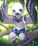  2018 avian bird blue_eyes blush bulge cub looking_at_viewer outside sitting smile solo unrealplace wings young 