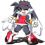  amy_rose crossover klonoa sonic_team tagme 