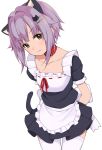  alternate_costume animal_ears apron arms_behind_back bangs brown_eyes cat_ears cat_hair_ornament cat_tail collar enmaided eyebrows_visible_through_hair hair_ornament hairpin idolmaster idolmaster_cinderella_girls kirarin369 koshimizu_sachiko looking_at_viewer maid purple_hair ribbon-trimmed_clothes ribbon_trim short_hair short_sleeves simple_background solo standing tail thighhighs white_background white_legwear 