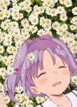  bangs closed_eyes commentary daisy drooling eyebrows_visible_through_hair face flower flower_bed from_above hair_intakes hair_ornament hairpin idolmaster idolmaster_cinderella_girls kirarin369 koshimizu_sachiko lying on_back on_ground outdoors petals purple_hair short_hair sleeping solo 