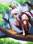  animal_ears bandaged_arm bandages bangs brown_eyes brown_scarf commentary day full_body geta hand_on_own_chin hat highres inubashiri_momiji nunupon0514 outdoors red_hat scarf shield short_hair short_sleeves solo squatting sword sword_behind_back tokin_hat touhou tree_branch weapon white_hair wolf_ears 
