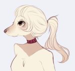  breasts canine collar dog featureless_breasts female fredek666 fur hair mammal mostly_nude ponytail saluki simple_background white_background white_fur white_hair witchpuppy 