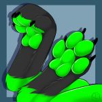  4_toes ambiguous_gender canine carifoxleopard claws foot_focus green_pawpads hindpaw mammal pawpads paws solo toe_claws toes 