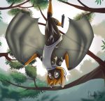  2018 anthro bat bat_wings black_fur breasts clothing devoid-kiss female flying_fox fur hair mammal membranous_wings nipples orange_hair pussy solo sweater upside_down virgin_killer_sweater wardrobe_malfunction wings 