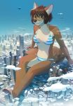  2018 anthro barefoot bikini brown_eyes brown_hair brown_nose canine city clothing day detailed_background digital_media_(artwork) female hair mammal marco melloque outside solo swimsuit 