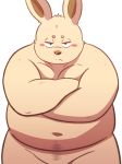  2018 96k-k barazoku blush body_hair crossed_arms happy_trail kemono lagomorph mammal obese overweight rabbit simple_background solo standing white_background 